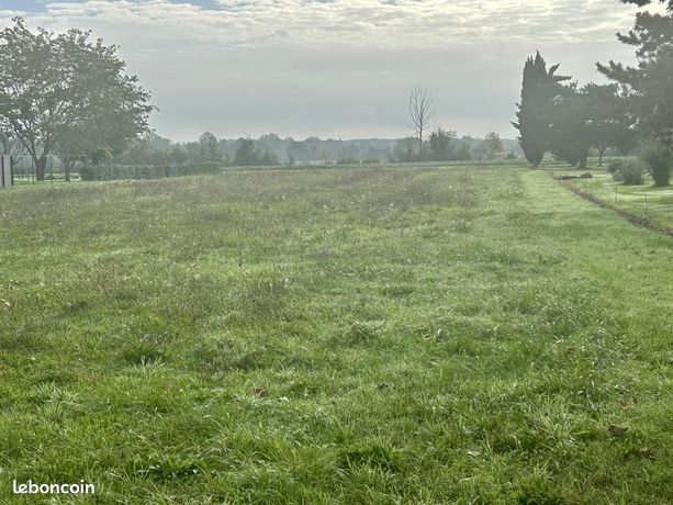 Terrain 2 797 m² Brax