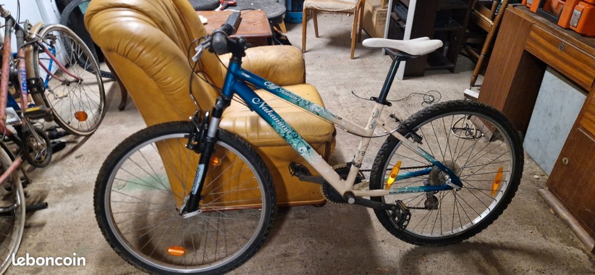 VTT 26 pouces pour homme (image 2)