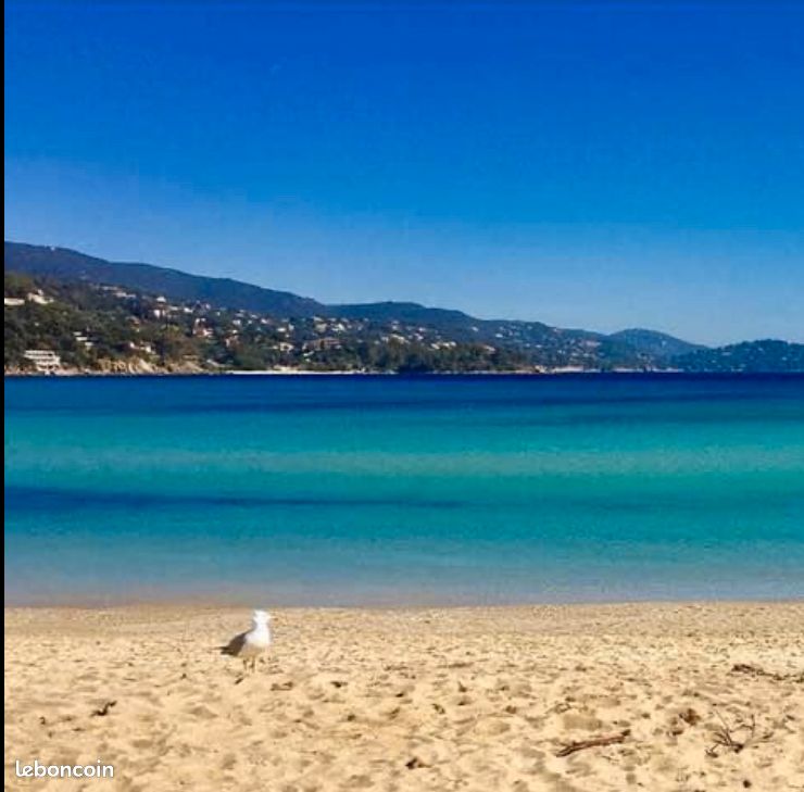 Appartement Lavandou proche mer (image 9)