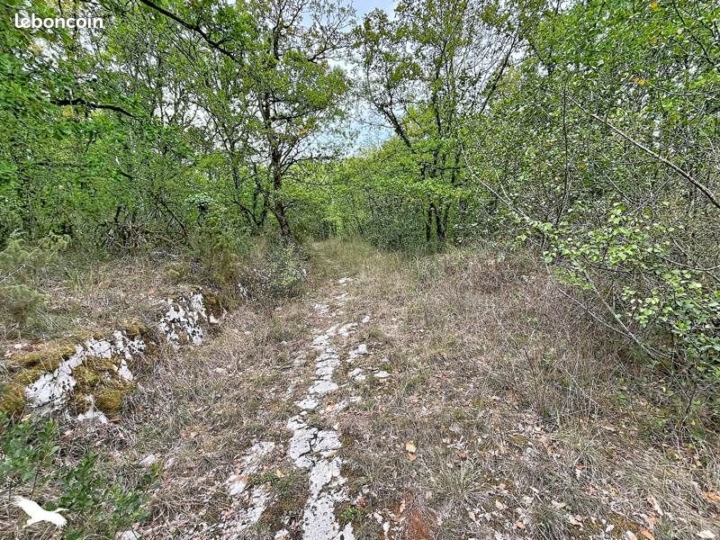 Terrain 6303 m² · à Castelfranc · 45 000 €