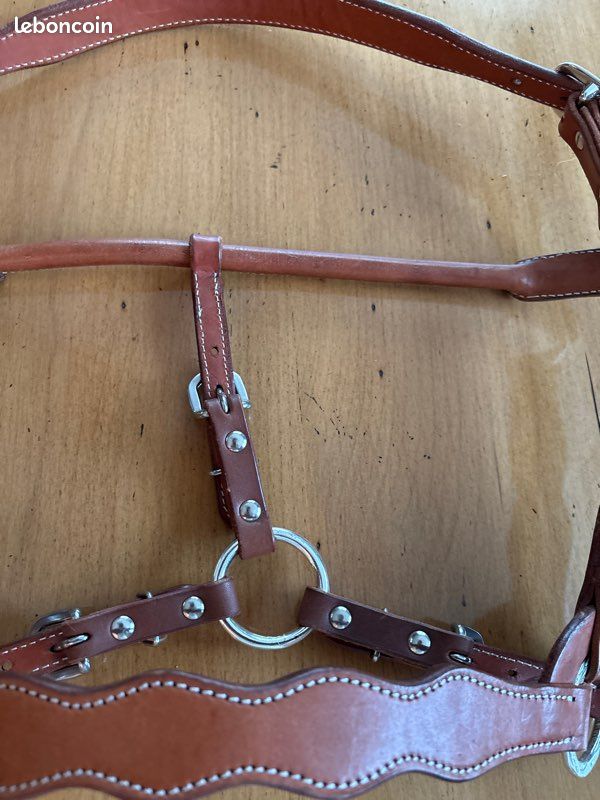 Lot D'anneaux En D Chromé Western - Quincaillerie Pour équitation Et Artisanat