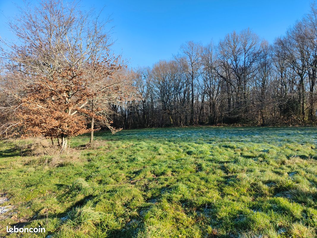 Terrain a vendre · à Domme · 19 000 €