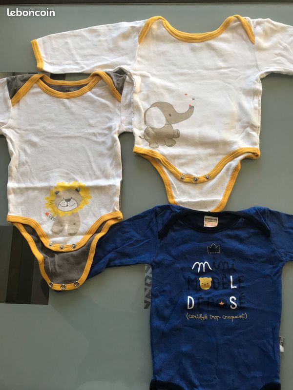7 Bodys en 12 mois (image 2)