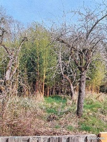 Terrain 399 m² Saint Pierre Les Nemours