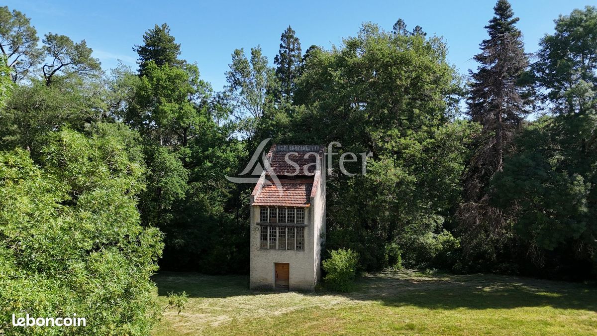 Propriété 290 m² Castres (image 16)