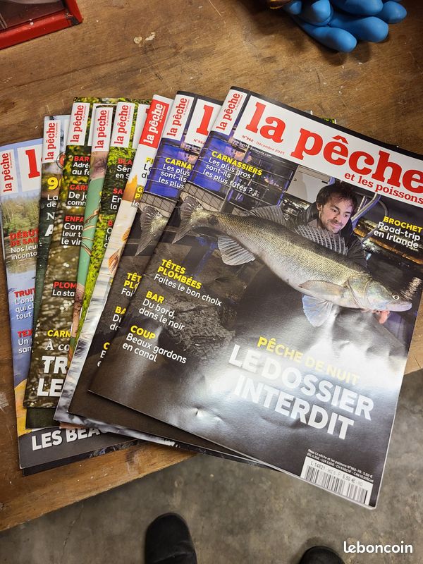 Revue La Pêche Et Les Poissons N°370 – Année 1976, Bon état