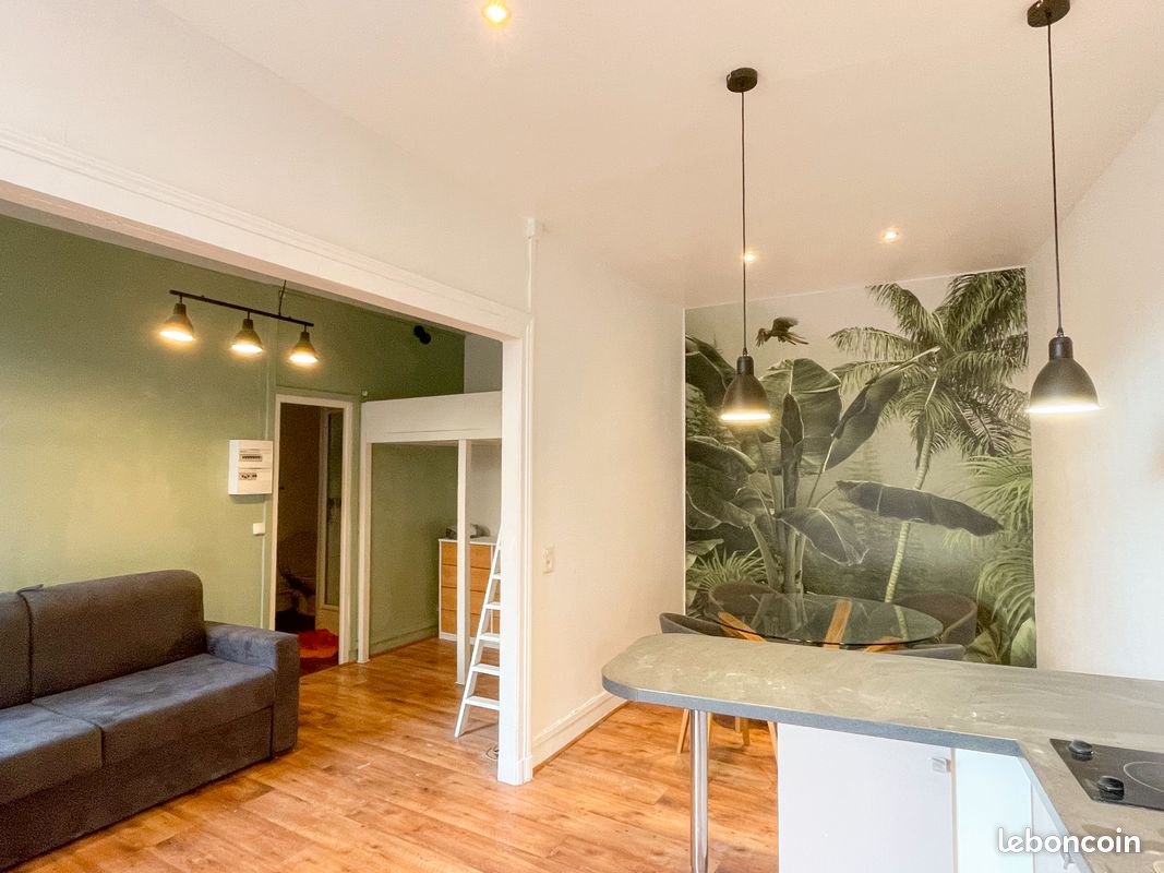 Appartement 1 pièce 28 m² · à Pau · 28 m² · 520 €/mois