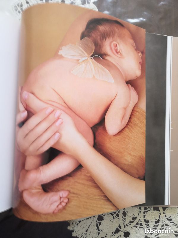 Livre photos femmes enceintes mère d'anne Gueddes (image 5)