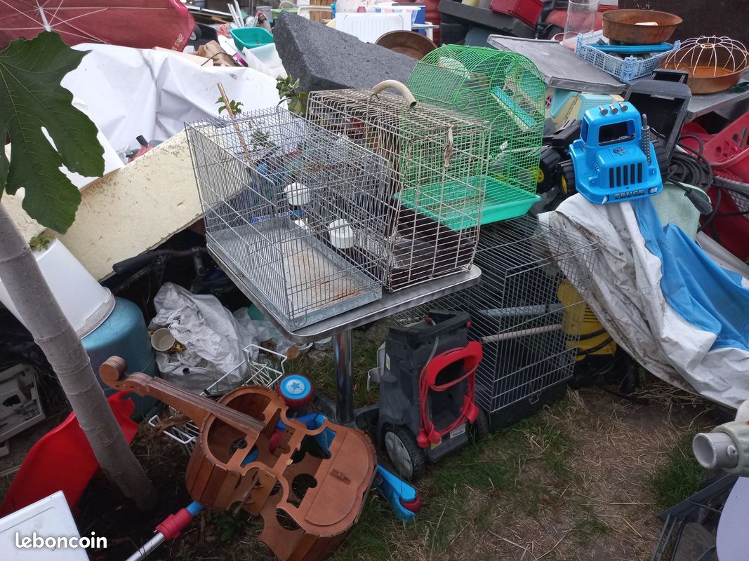 Voliere-cage oiseau-cage perroquet-cage tranport (image 3)
