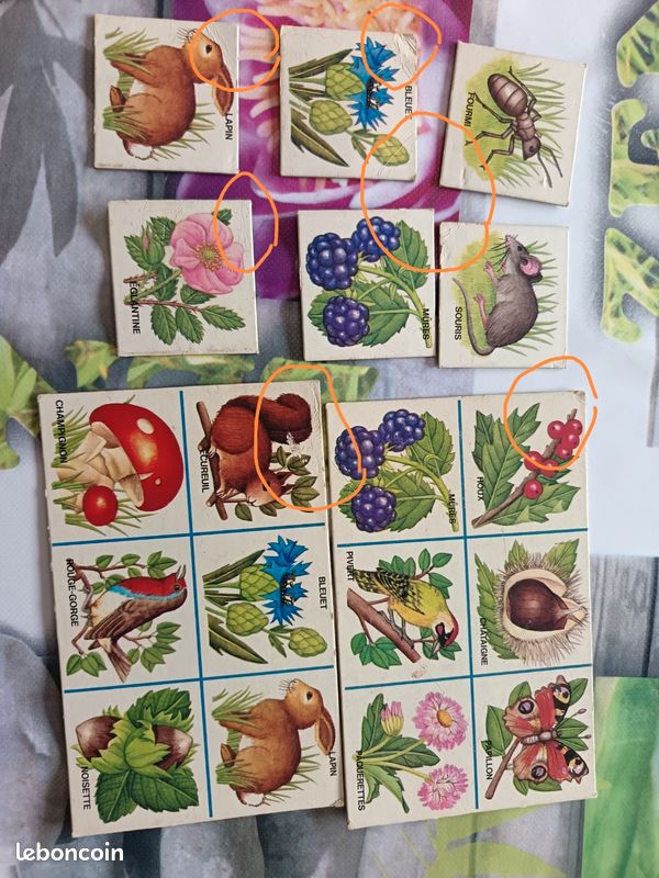 Loto ''Bois et Champs'' (image 5)