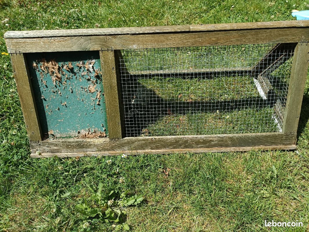 Cabane rongeurs (image 3)