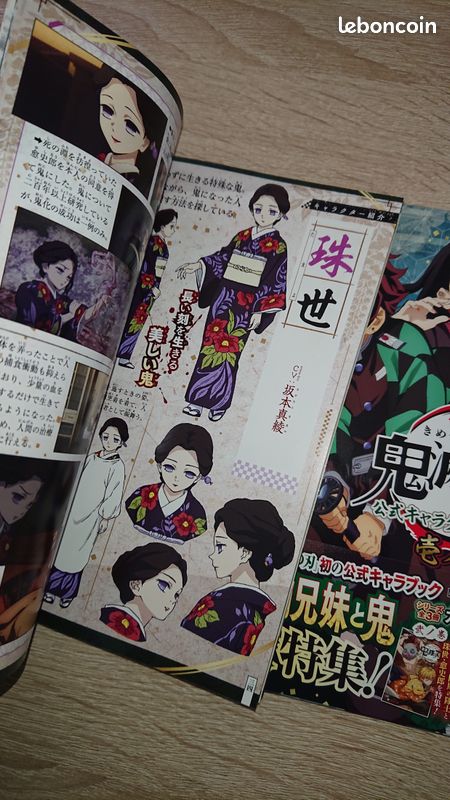 [Lot] Demon Slayer Character Book 1 & 2 - Kimetsu No Yaiba (image 6)