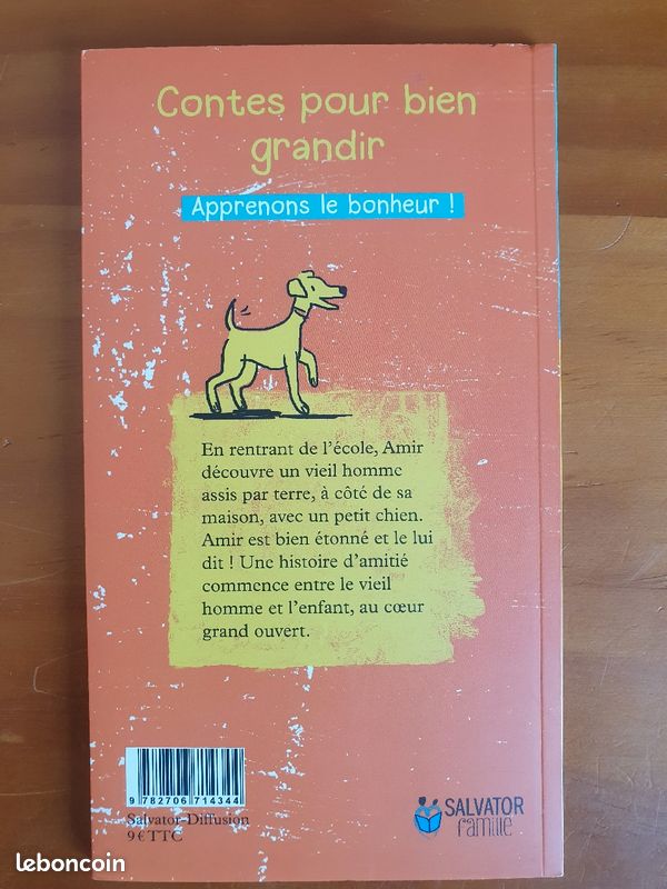 Livre pour 8 - 10 ans "Amir et le sans-abri" (image 2)