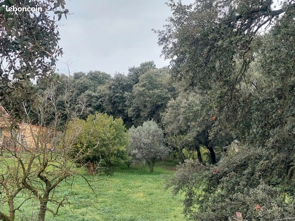Terrain 400 m² · à Plan-d'Orgon · 145 000 €