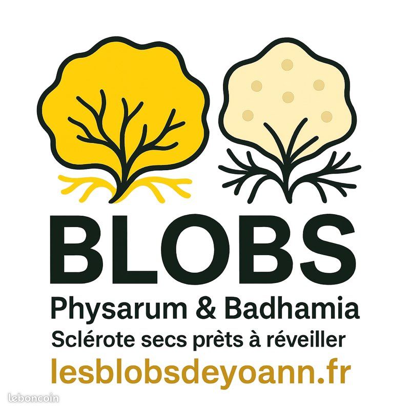 Kit de culture du blob complet et prêt à l’emploi (image 6)