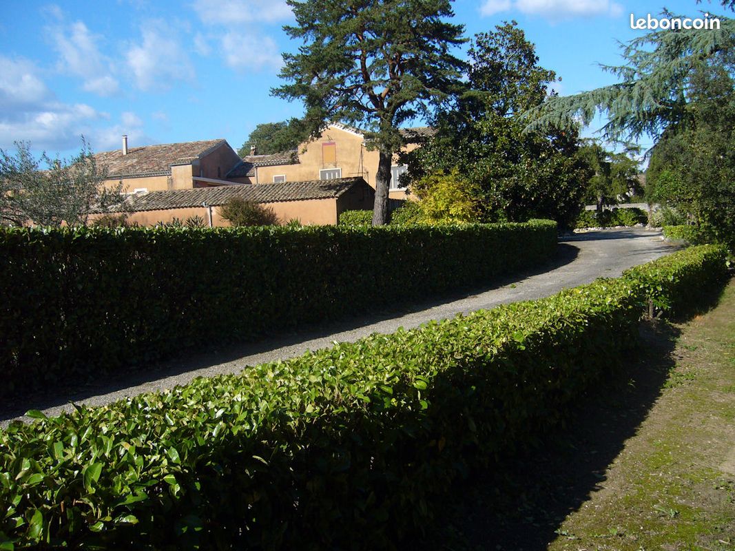 Vallon pont d'arc coquelicot (image 7)