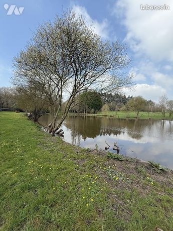Terrain 6058 m² LA TESSOUALLE