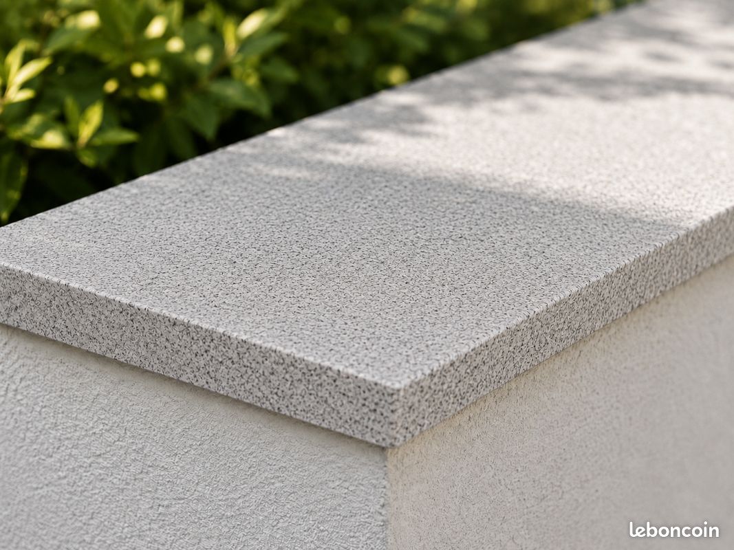 Couvertine granit gris grains fins - 25x100x ep 2 cm (image 2)