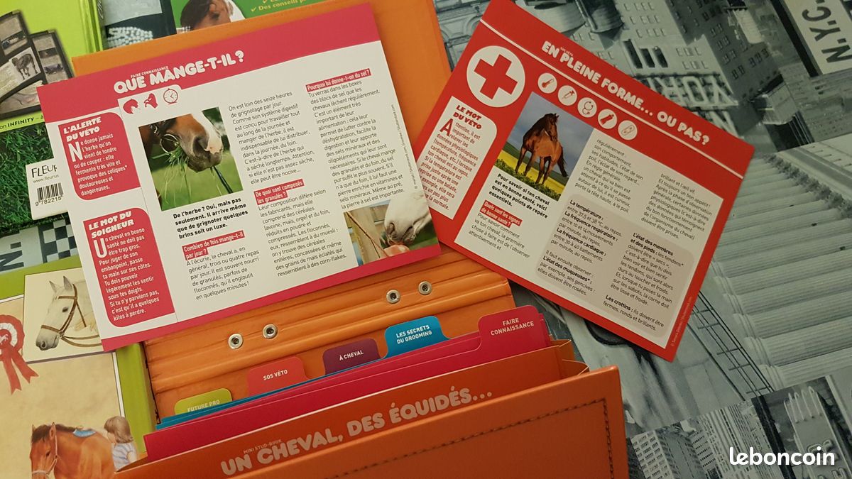 4 livres sur les chevaux: 1 malette remplie de fiches et 3 beaux livres, TBE (image 4)