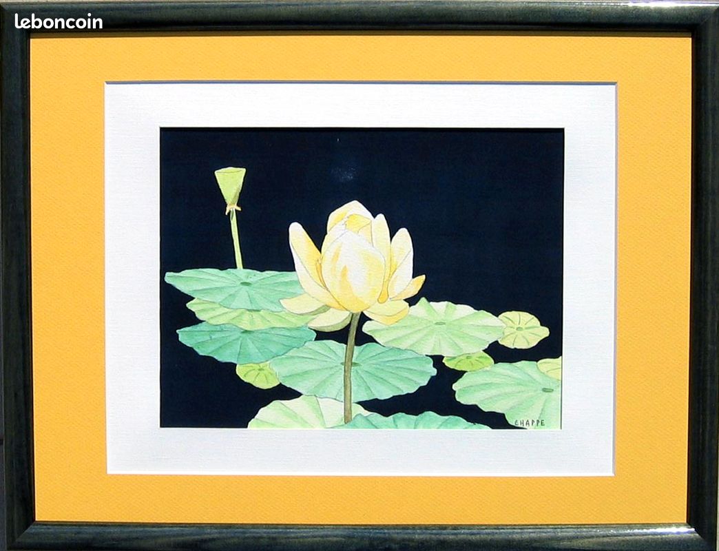 Aquarelle Fleurs de Nénuphars (image 1)