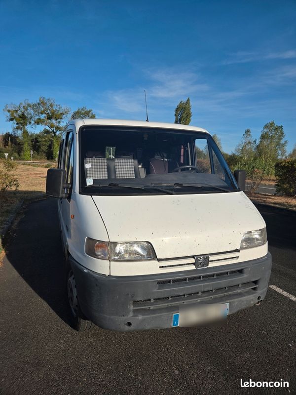 Boxer (image 1)