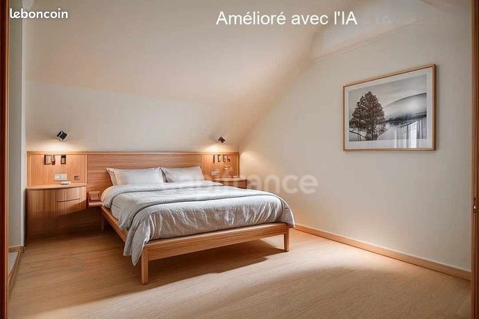 https://img.leboncoin.fr/api/v1/lbcpb1/images/f8/d7/72/f8d772be9508275a56375c850e9a316462399ac6.jpg?rule=ad-image