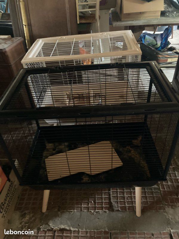 Cage bon état (image 1)