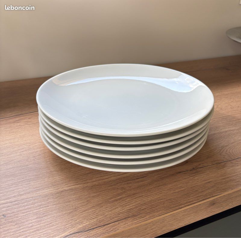 Lot de 6 assiettes 30 cm (image 1)