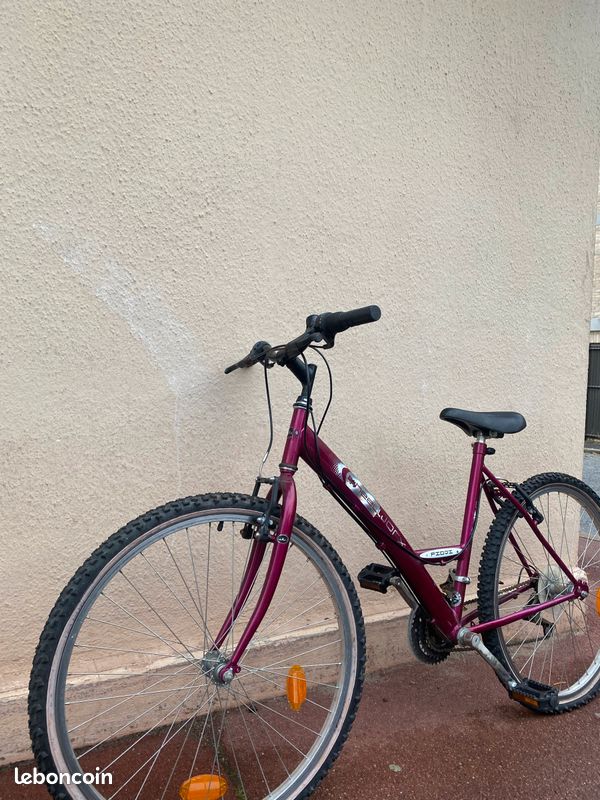 Vélo mixte (image 2)