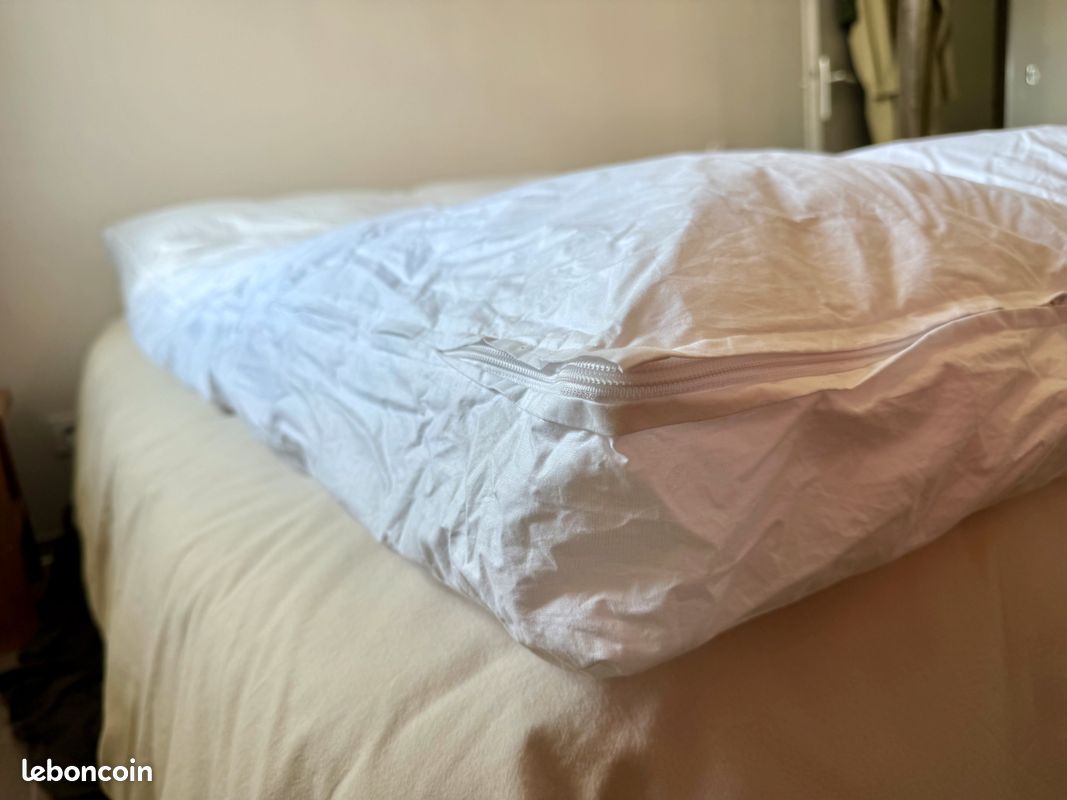 Surmatelas Sofitel 140 x 200 cm – Duvet et plumes de canard – État impeccable (image 4)