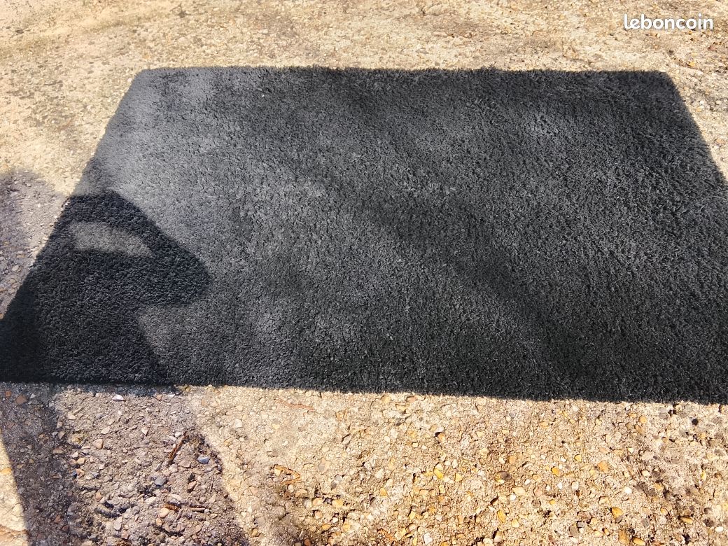 Tapis de salon (image 1)
