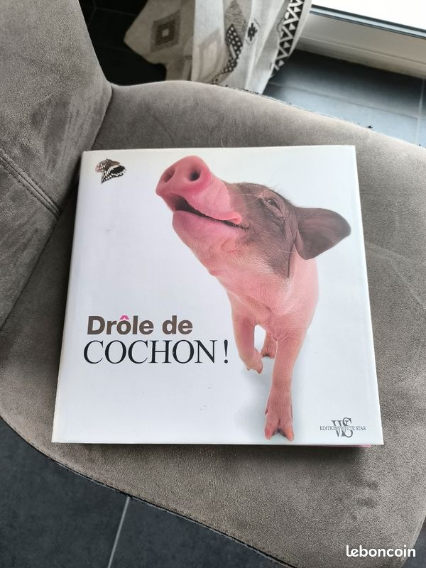 Livre cochon (image 2)