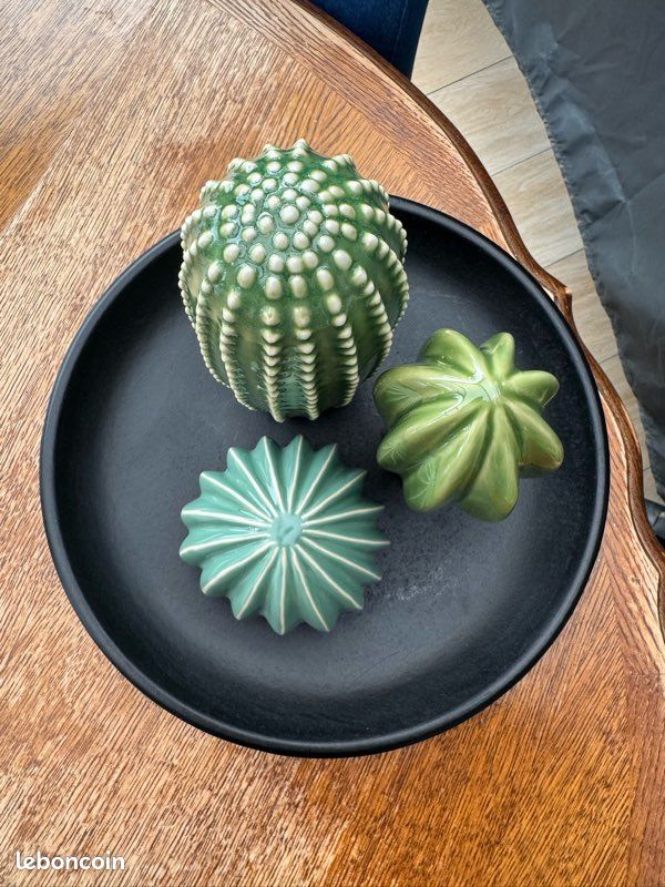 Plateau à Bijoux En Forme De Cactus - Plateau De Rangement Pour