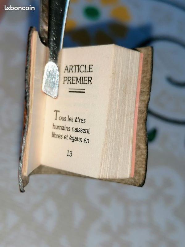 Pin's livre des droits de l'homme (image 10)