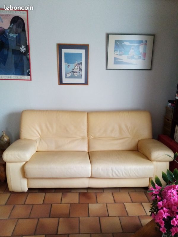 Canape en cuir (image 1)