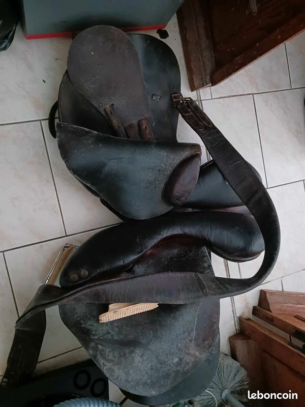 Selle cheval (image 2)