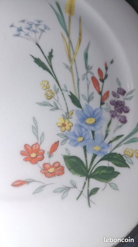 Lot 6 assiettes 1 plat porcelaine Seltmann Weiden