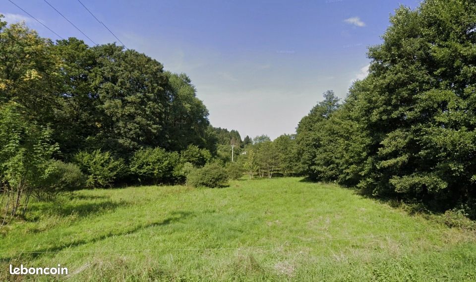 Terrain 4 039 m² Saulxures · 80 000 €
