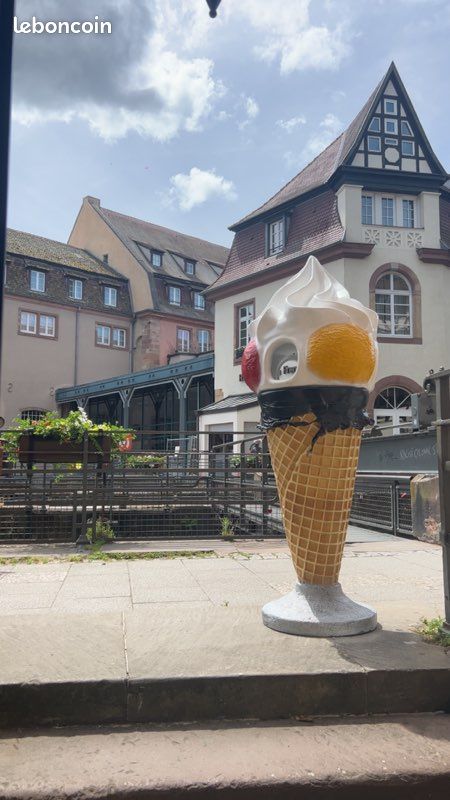 Appartement 2 pièces 30 m² · à Strasbourg · 30 m² · 600 €