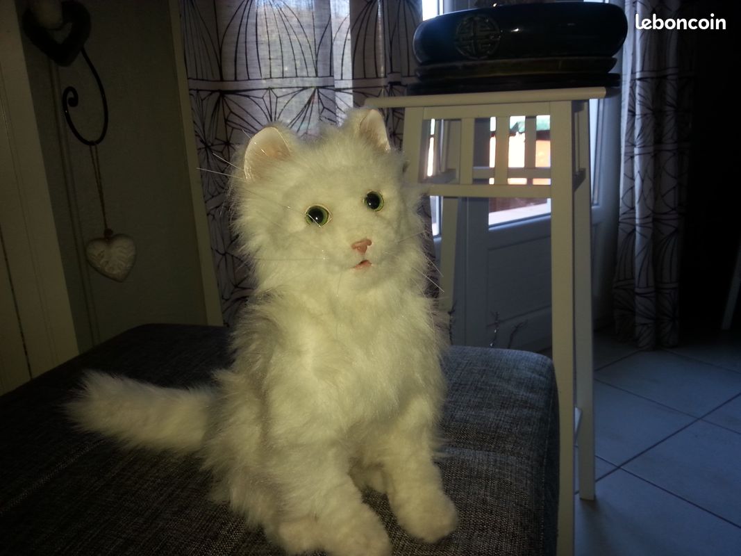 Chat automate neuf blanc (image 1)