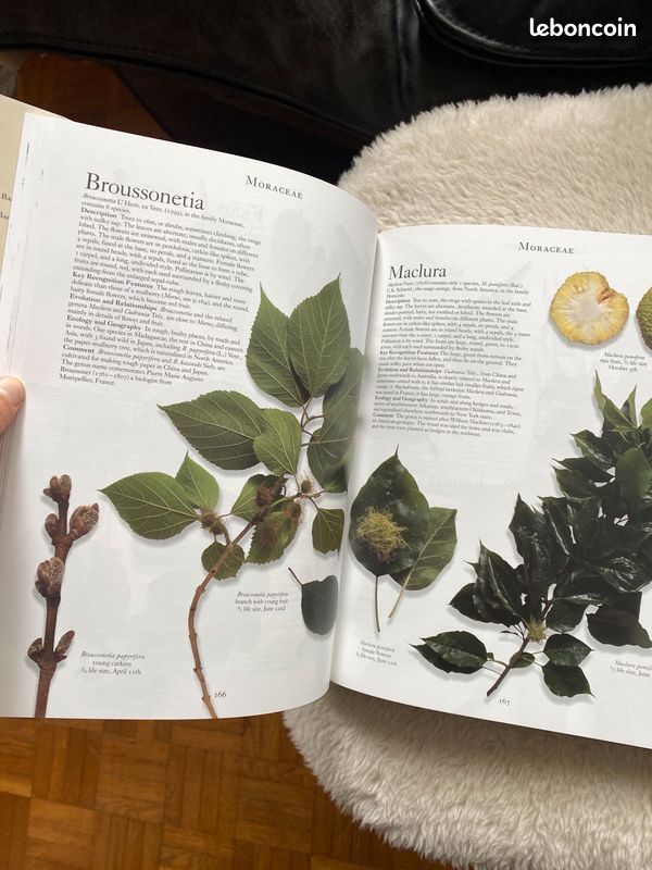 Coffret The Botanical Garden (image 3)