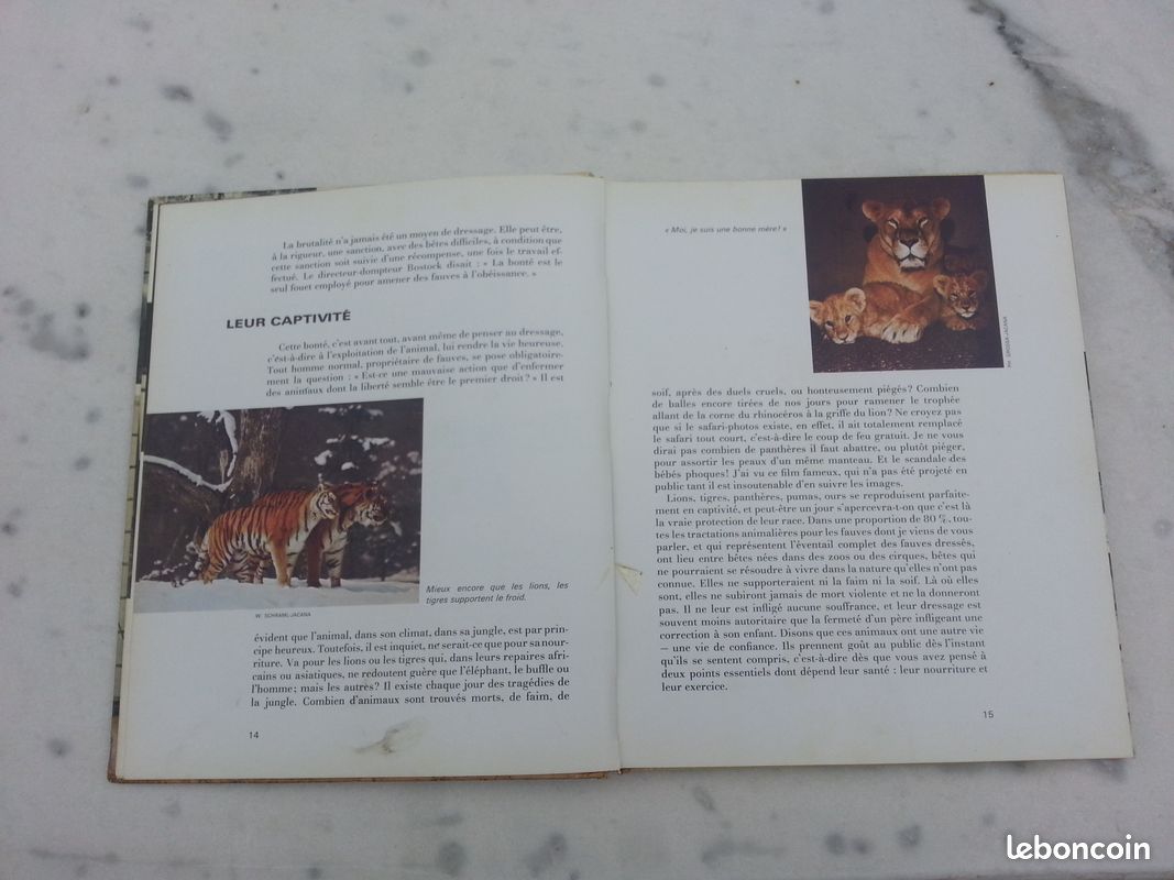 Envoyez les lions Ou le métier de dompteur (image 6)
