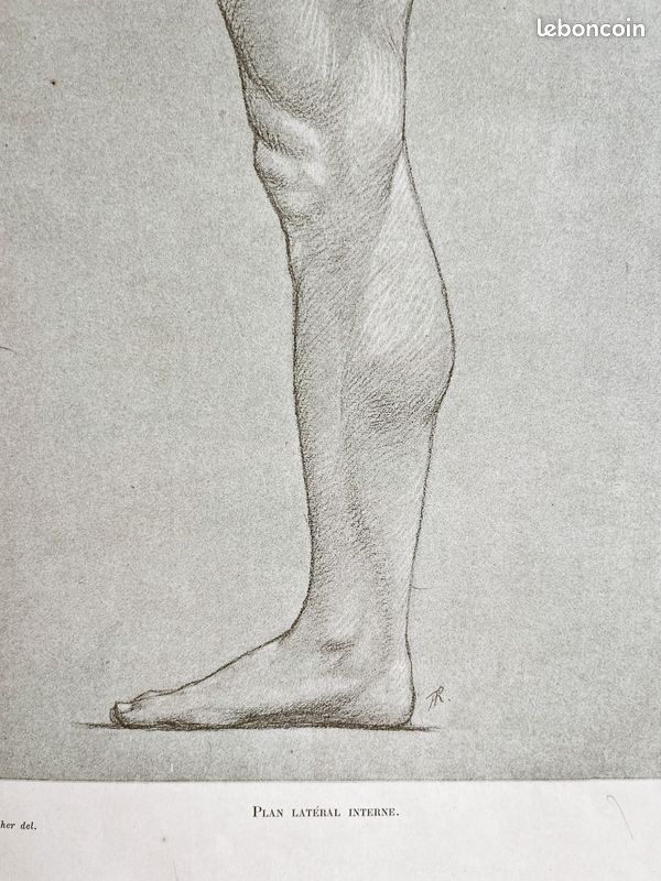 Formes extérieures Jambe #4 - Gravure ancienne originale d'anatomie - Dr.Richer (1890) - PL 86 (image 4)