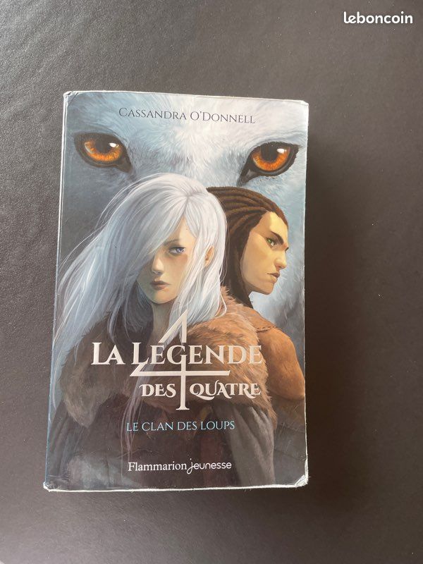 Livre le clan des loups (image 1)
