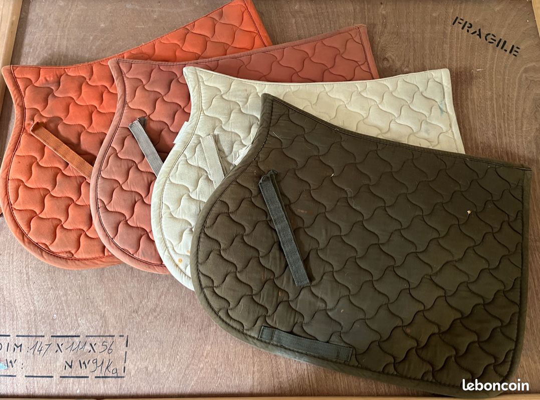 LOT DE TAPIS (taille cheval) (image 1)