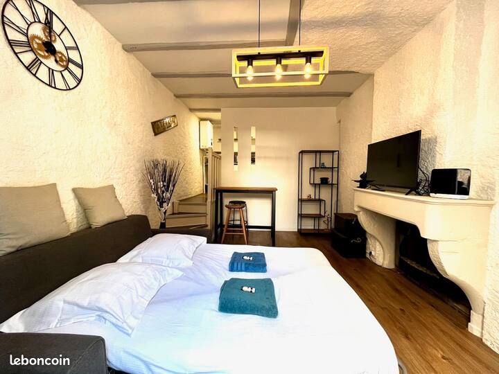 Appartement 1 pièce 21 m² · à Nancy · 21 m² · 450 €
