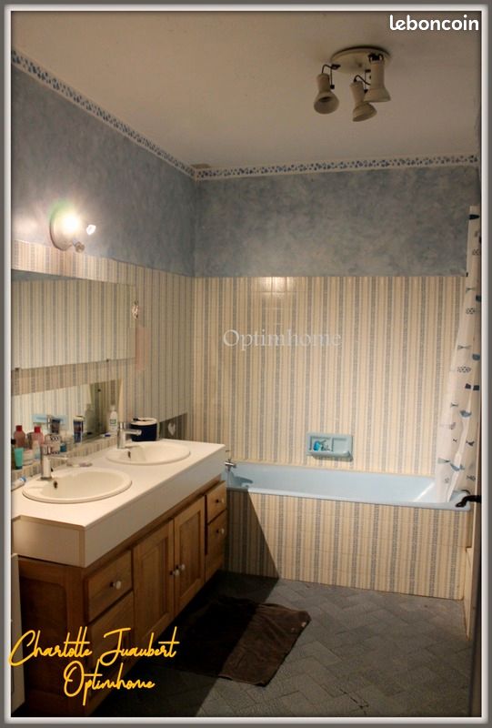 Maison de village 9 pièces 290 m² - Coteaux-du-Blanzacais 16250 Blanzac-Porcheresse (image principale 15)