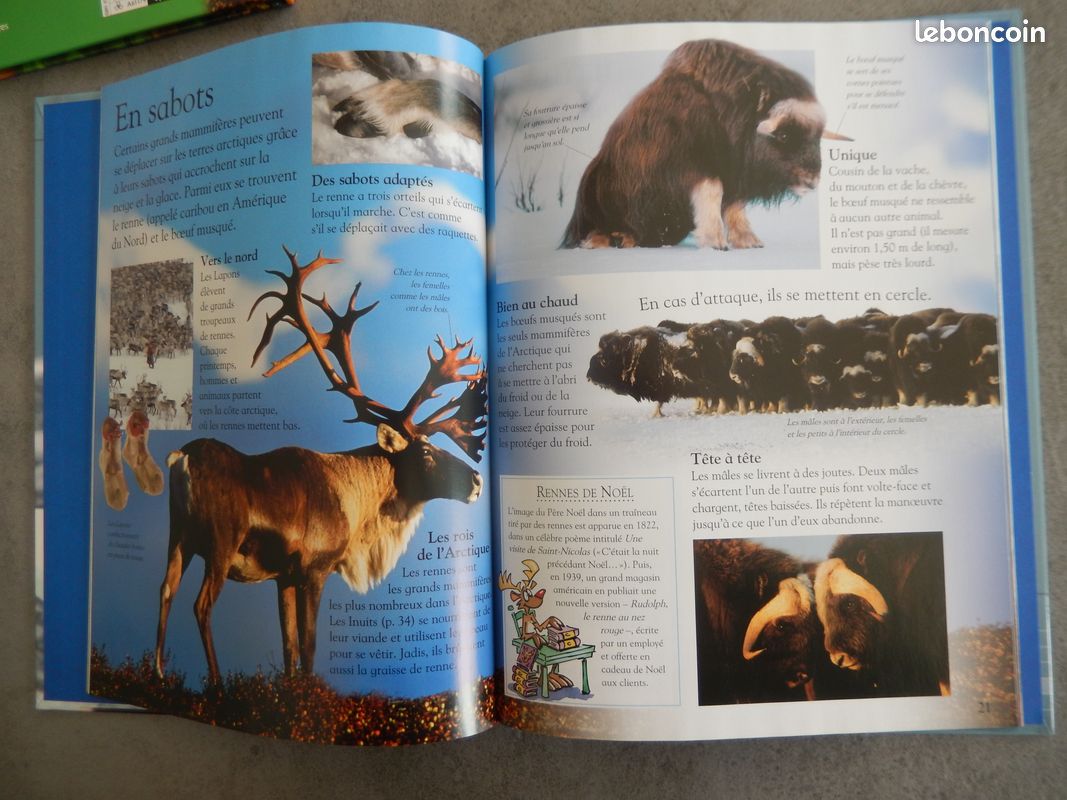 Livres / albums / romans / documentaires enfants TBE (image 6)