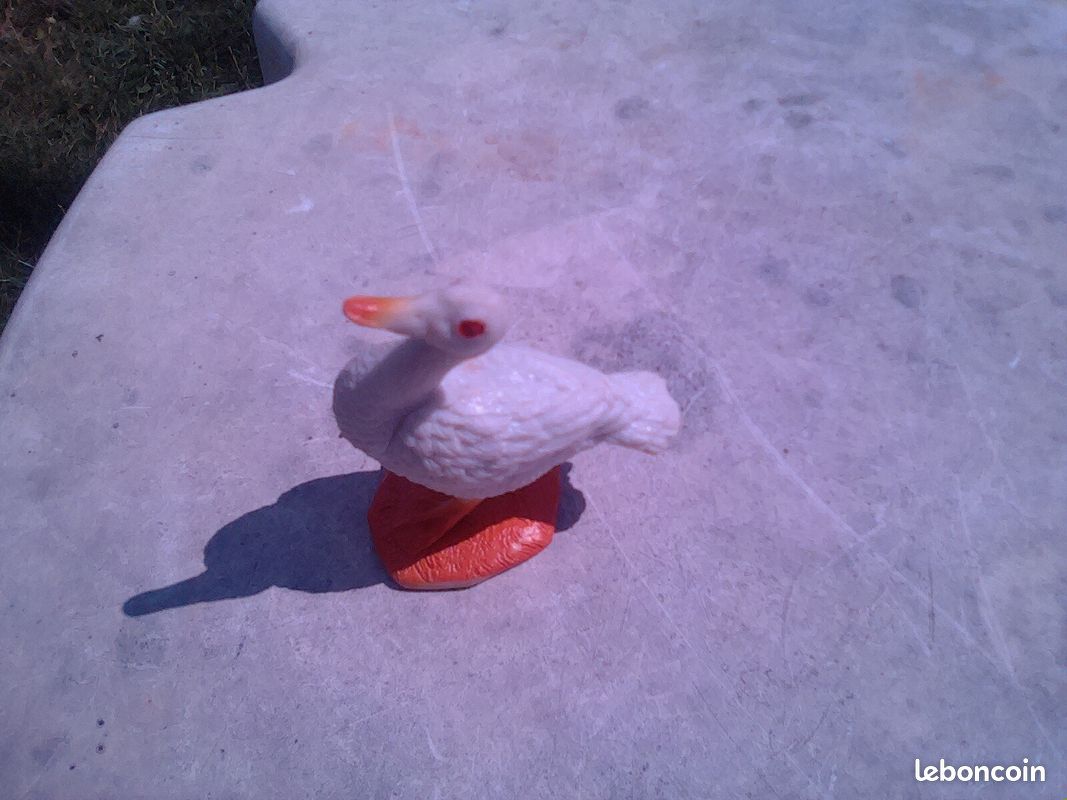 Canard (image 1)