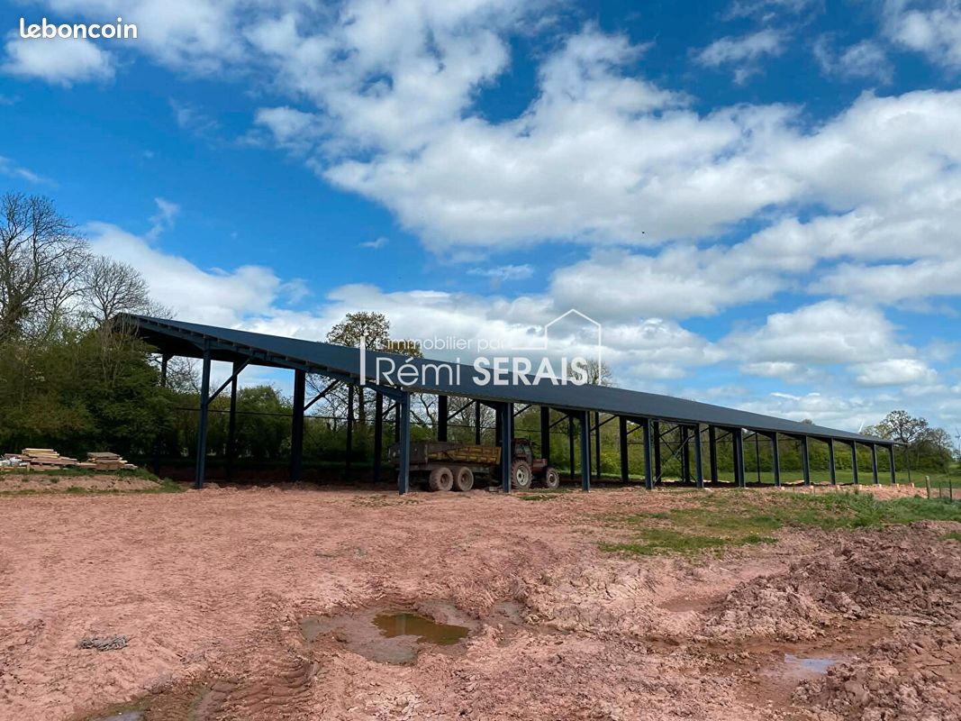 Local 4490 m² DIALAN SUR CHAINE (image 4)